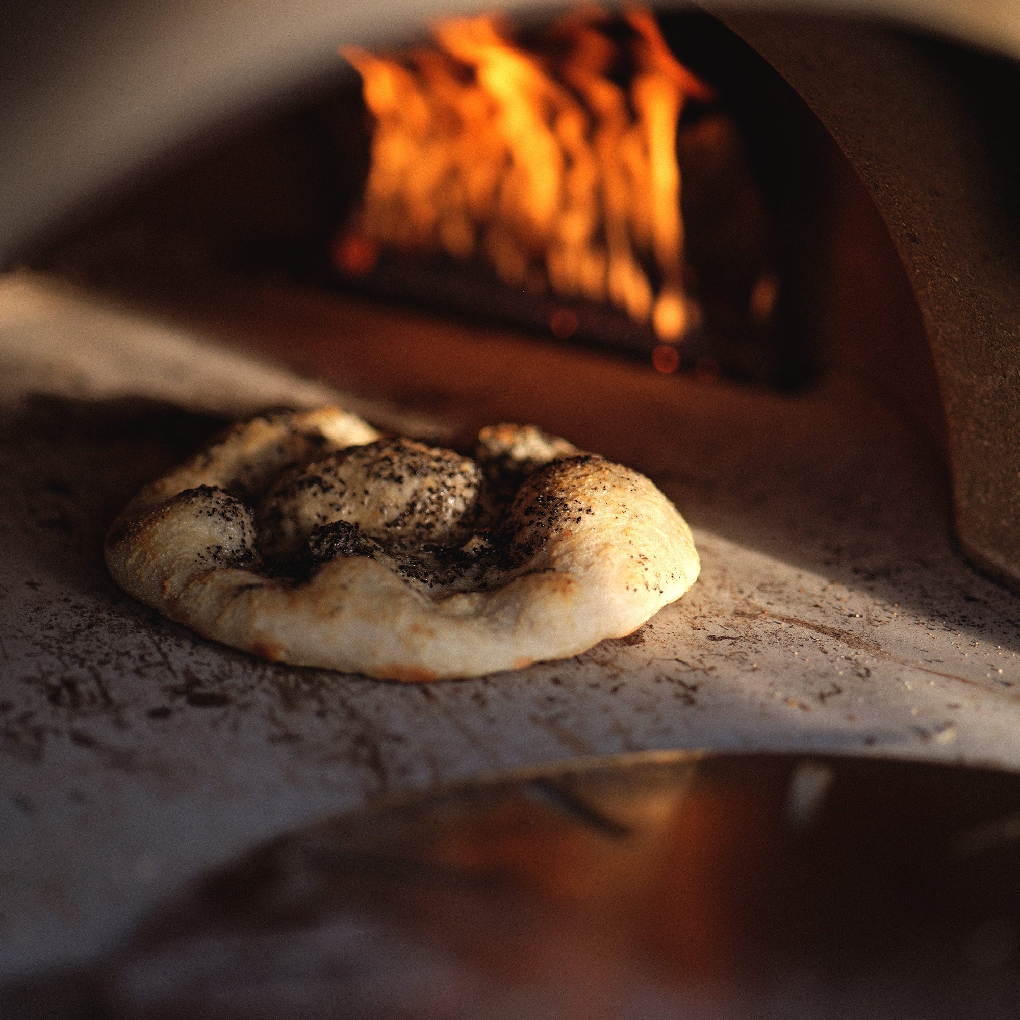 Black Truffle and Parmigiano Reggiano Mini Pizzas